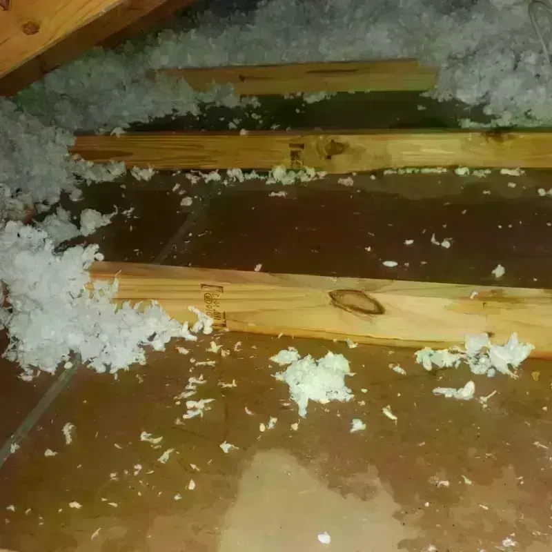 Attic Water Damage in East Point, GA