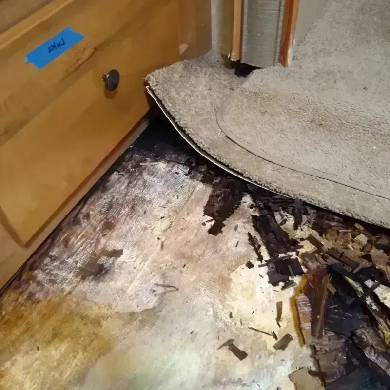 Wood Floor Water Damage in East Point, GA